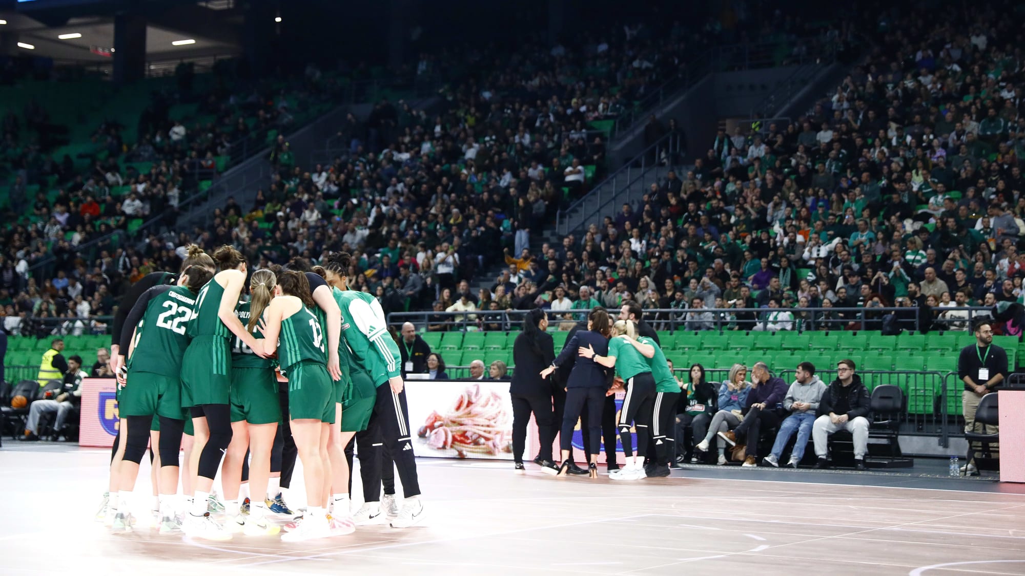 Panathinaikos record third highest attendance in EuroCup Women history
