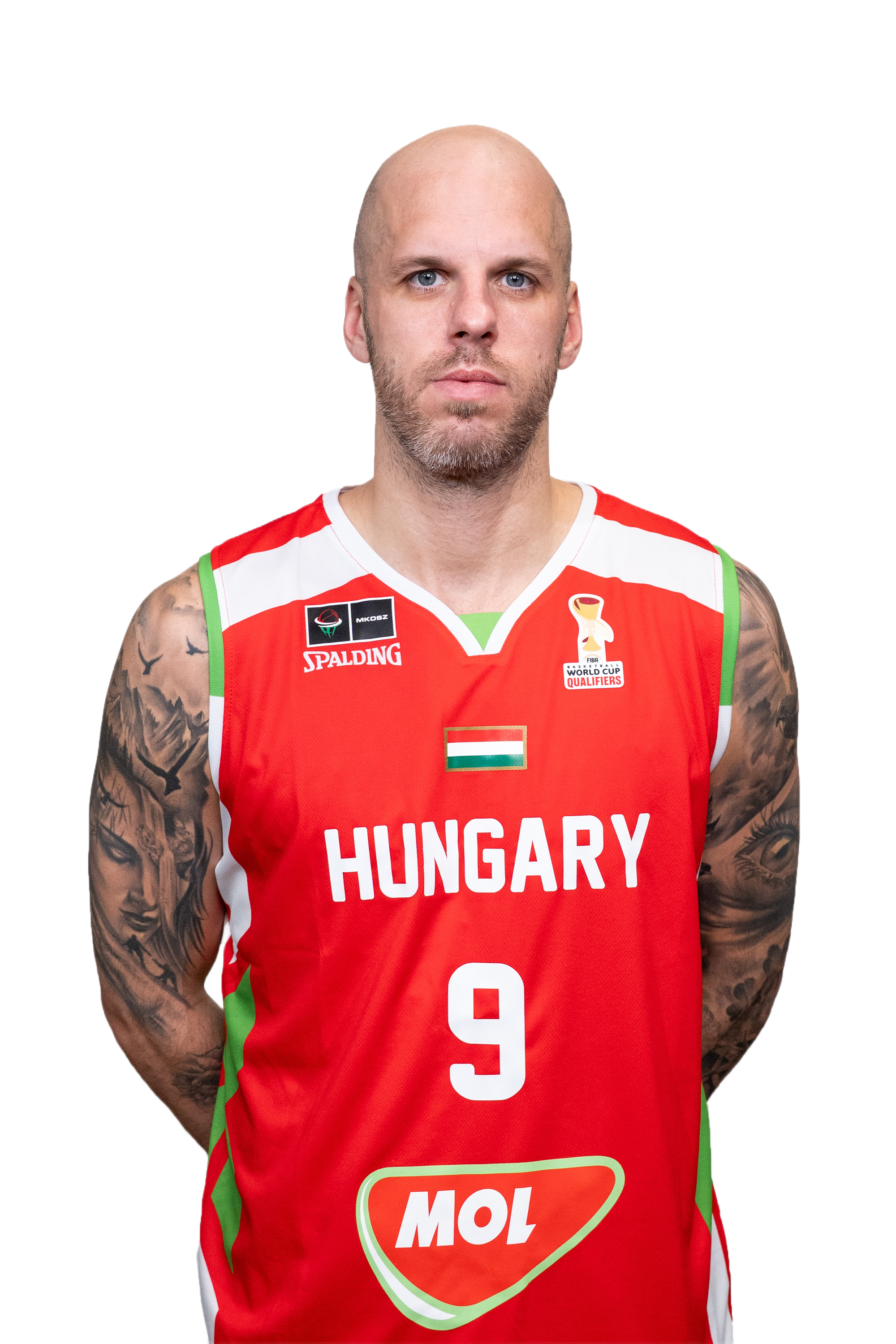 David Vojvoda