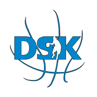 DSK Basketball Brandys