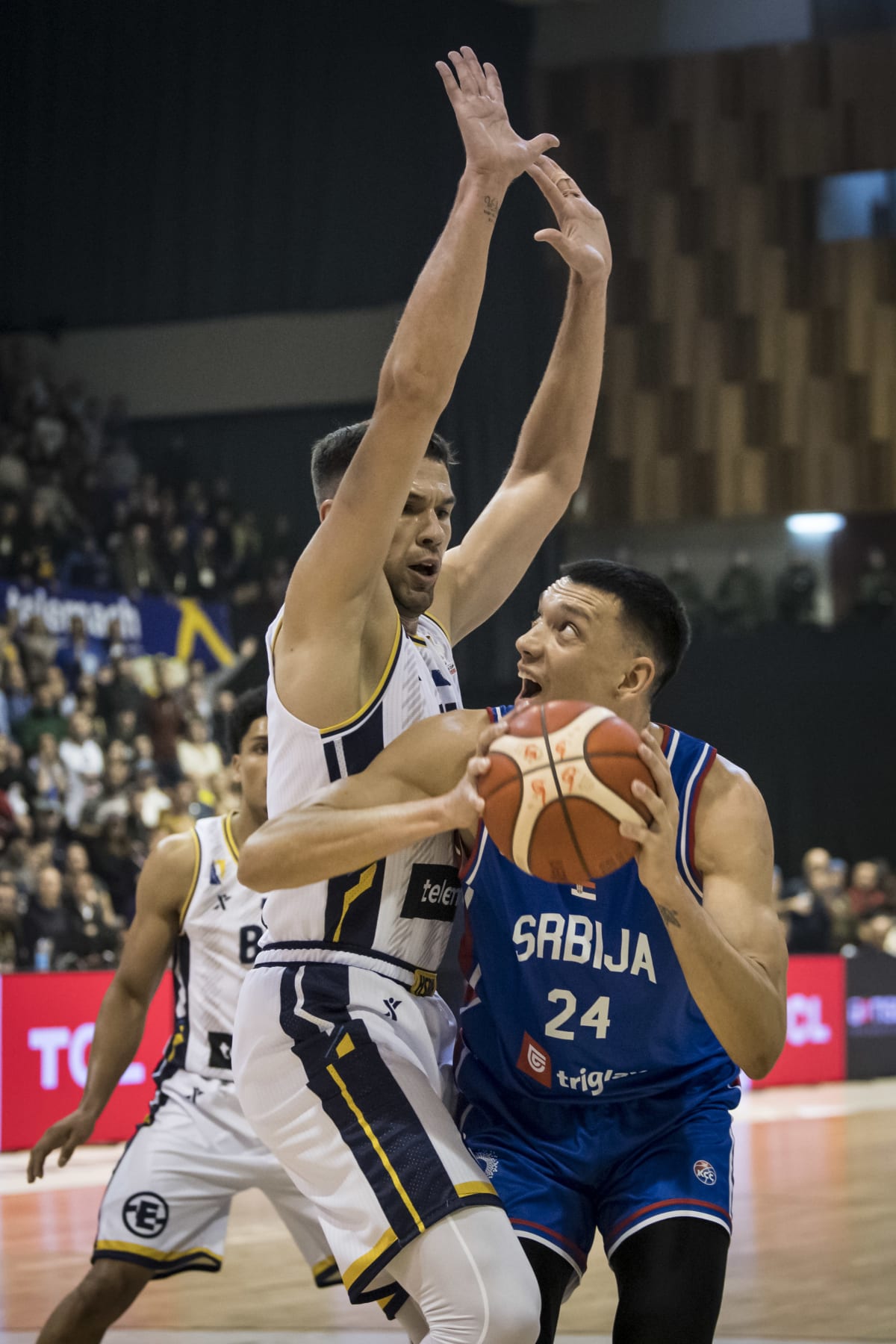 Bosnie-Herzégovine vs Serbie, éliminatoires de la Coupe du Monde 2027, Nikola Tanasković