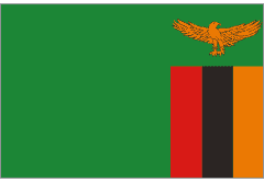 Zambiya A Milli Erkek Basketbol Takımı