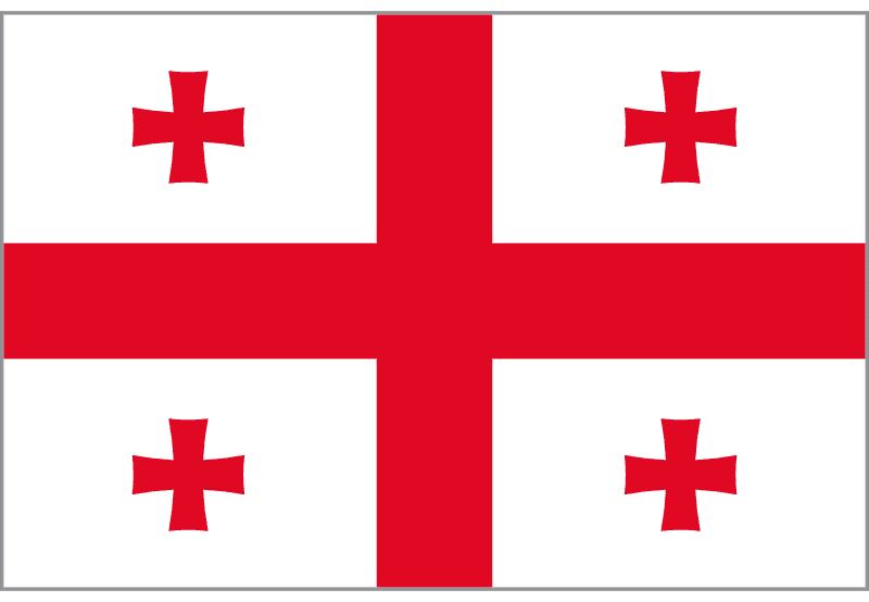 Georgia logo