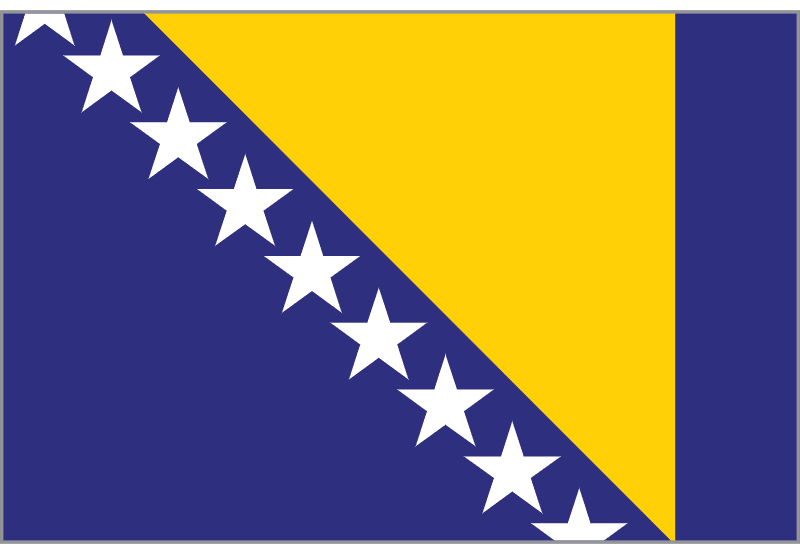 Bosnia and Herzegovina logo